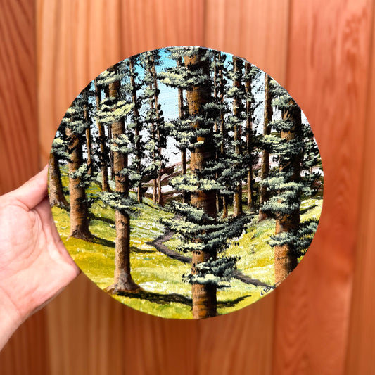 Woodland Wonder
