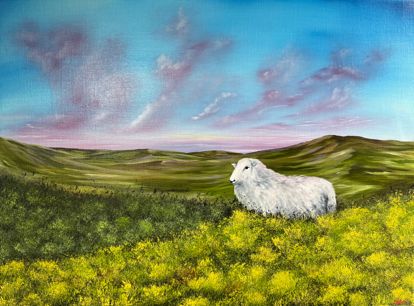 A Welsh Landscape Captured