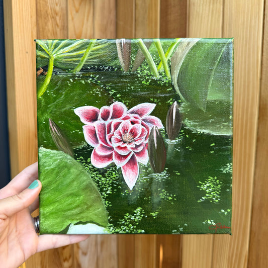 Water Lilies