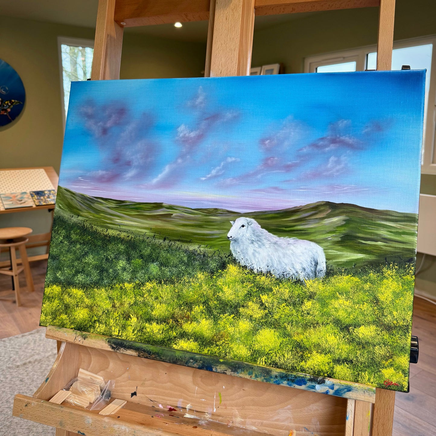 A Welsh Landscape Captured