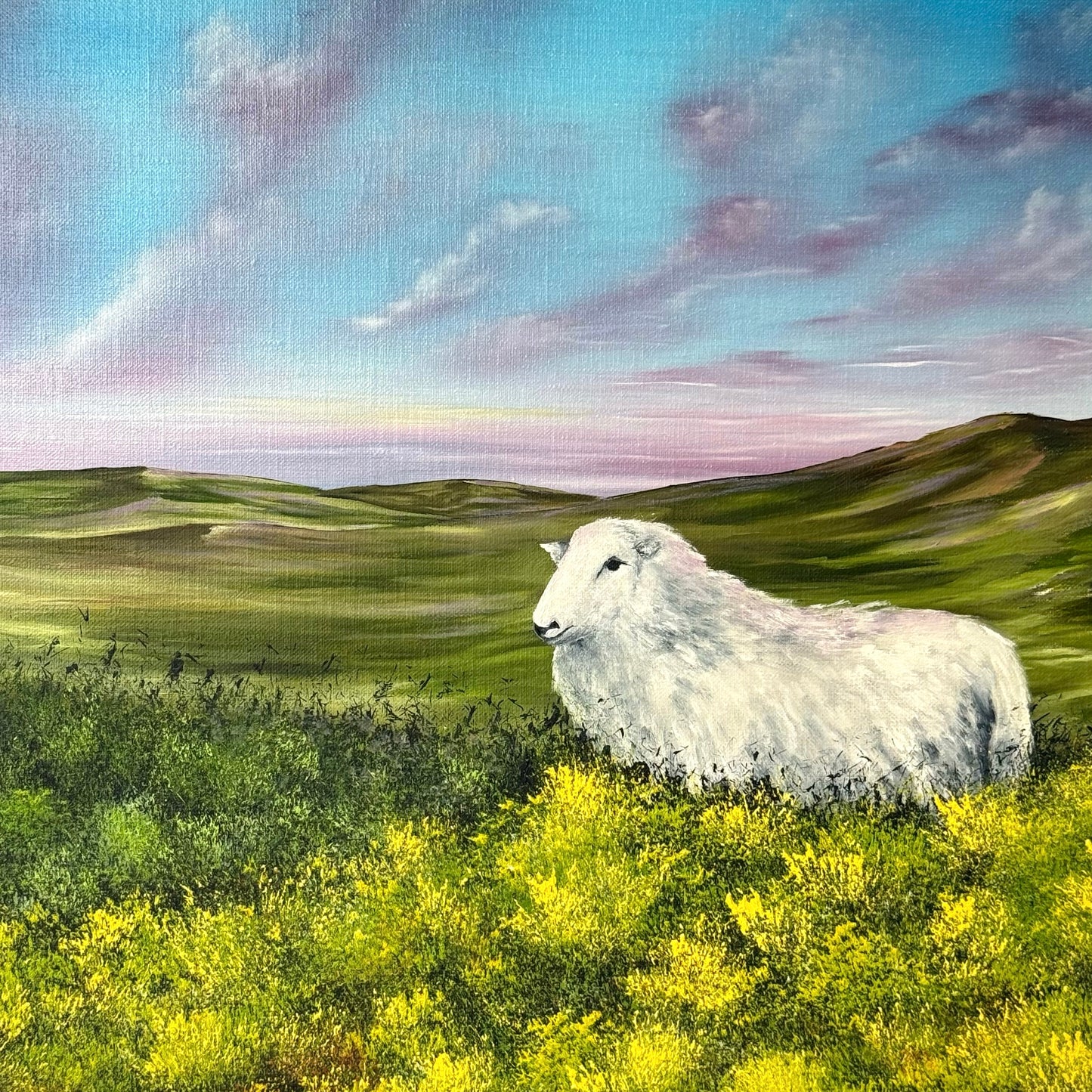 A Welsh Landscape Captured