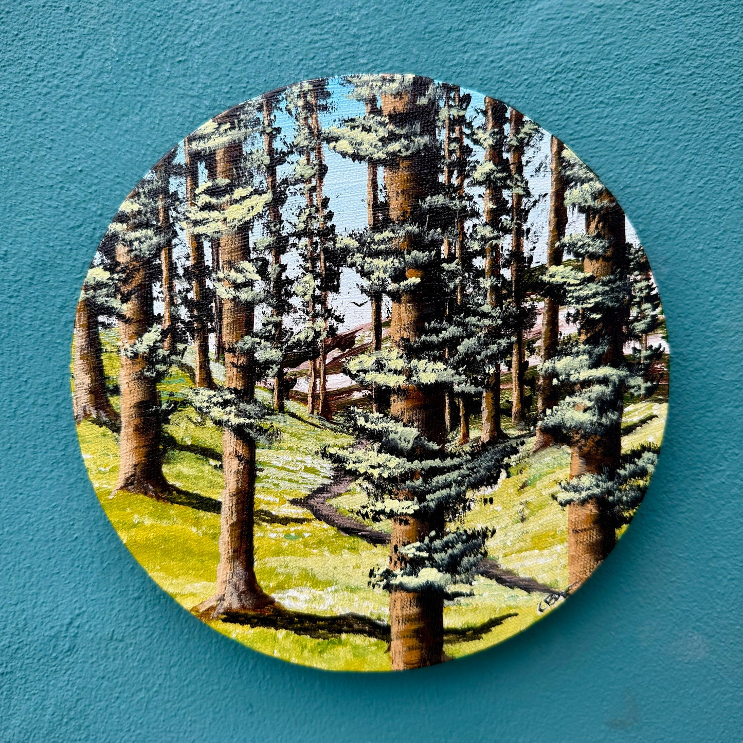 Woodland Wonder