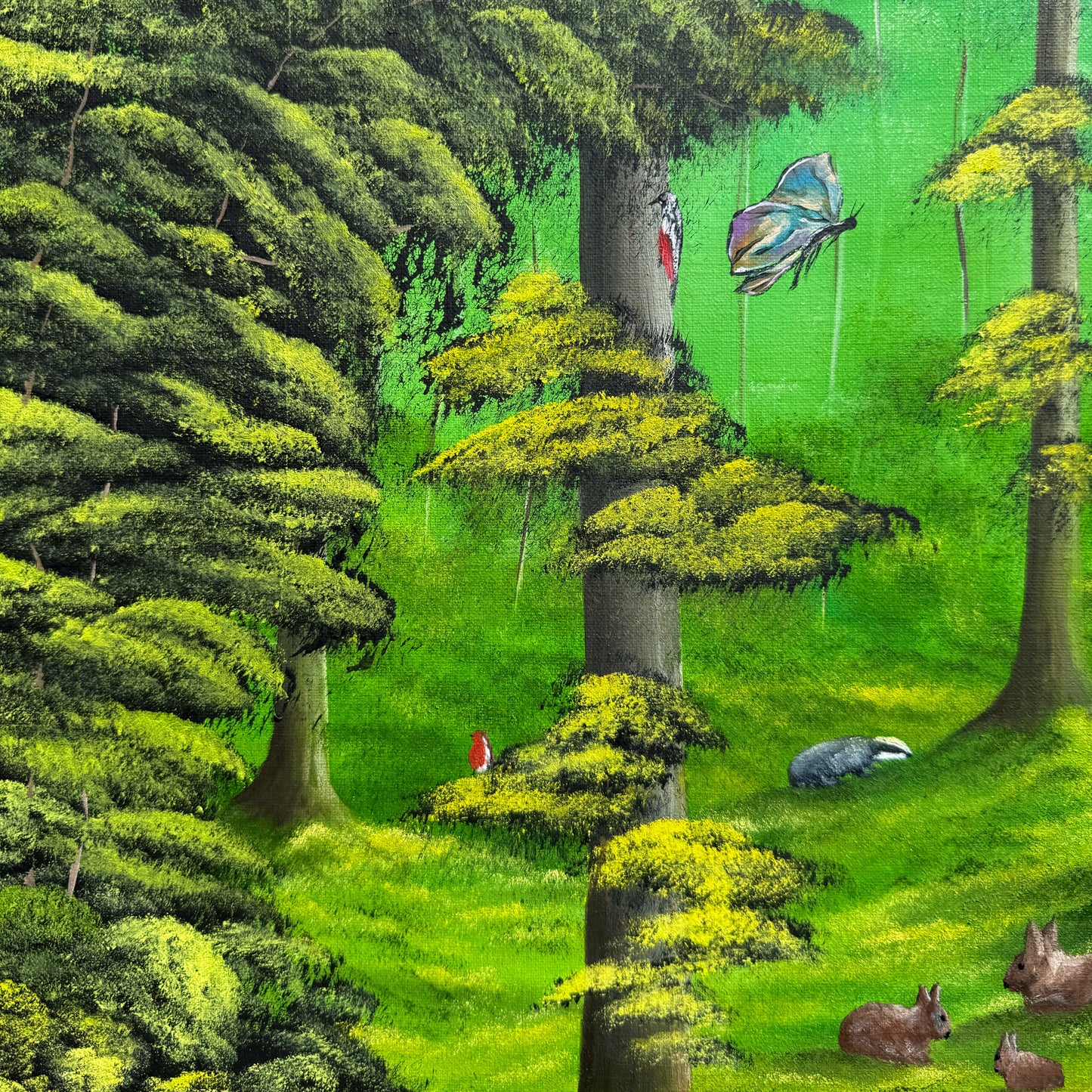 Wonders Of The Woodland