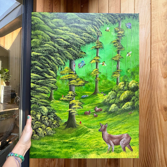 Wonders Of The Woodland
