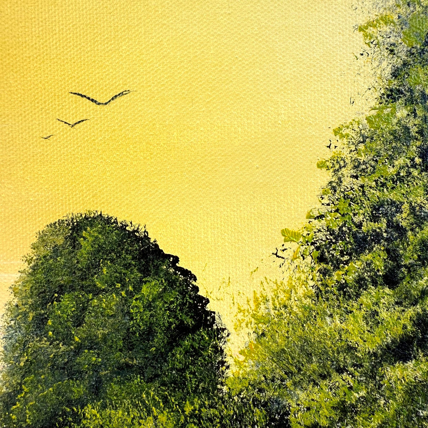 Natures Trail